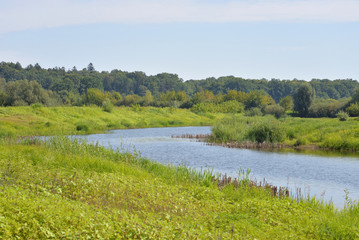 River at sunny day.