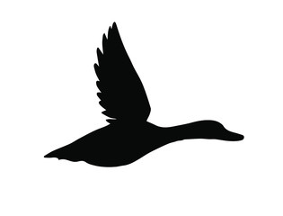 Vector black flying duck silhouette isolated on white background