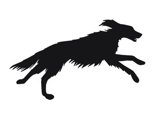 Vector black hunting setter dog silhouette isolated on white background