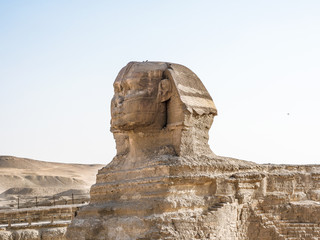 The great pyramids of egypt