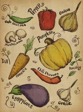 Set of different hand drawn fruits and vegetables. Art print for cafe or restaurant