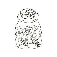 Hand drawn linear illustration od dried calendula flowers for home made healthcare, such as tinctures, tea, soap, oil etc