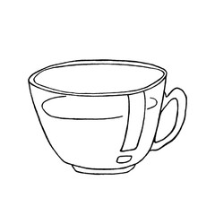 Hand drawn linear illustration od dried calendula flowers for home made healthcare, such as tinctures, tea, soap, oil etc