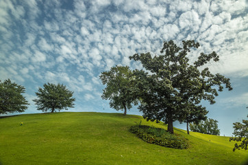 올림픽공원의 하늘과 나무