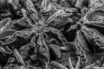 Black and White Focus on Single Star in Group of Star Anise