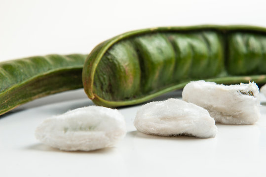 Guaba or cuaniquil: fresh South American fruit on white background