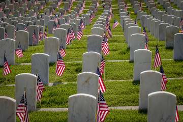 Military Grave Markers