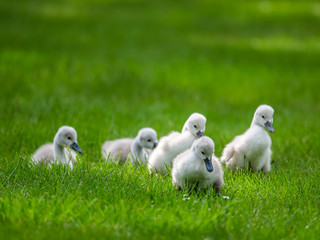 Familienausflug