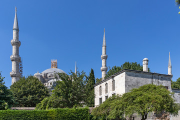 Fototapeta na wymiar The Blue Mosque in city of Istanbul, Turkey