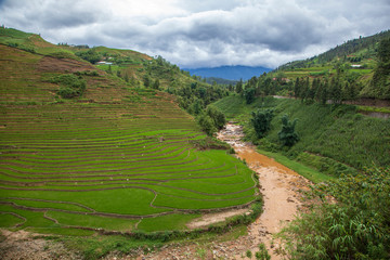 Fototapeta na wymiar Rice paddies in the mountains near Sapa village, Northern Vietnam