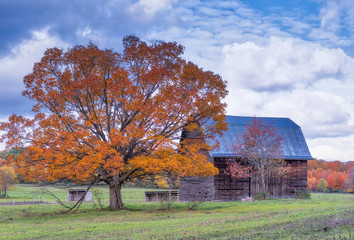 Autumn in the countryside