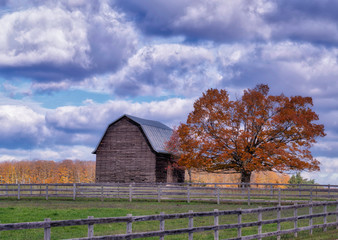 Countryside in Autumn
