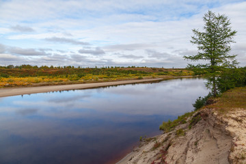  Beautiful landscape of forest-tundra