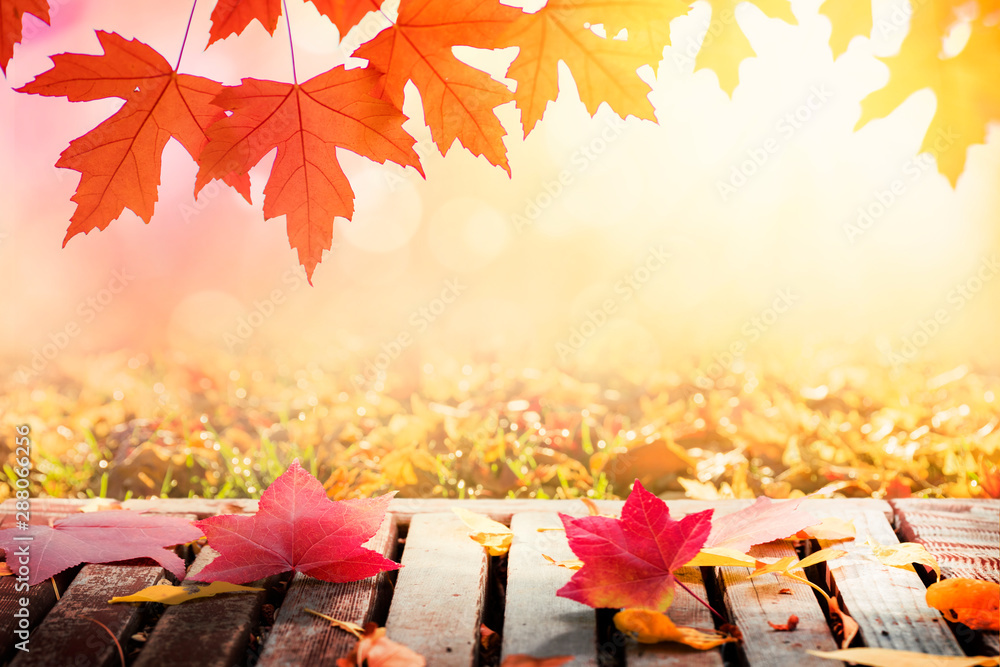 Wall mural Autumn leaves on wooden table sunset background with copy space