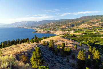 Penticton Okanagan Valley Vineyard