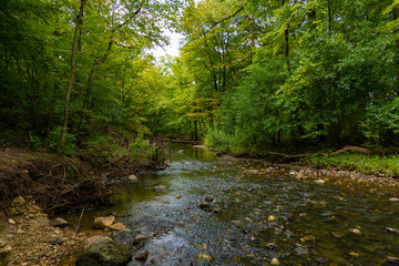 Stream through Waterfall Glen
