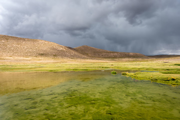 Across the highlands of Peru, endless wetlands fill the horizon with dappled beauty of varying...