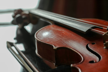 Violin lying on a smooth surface.