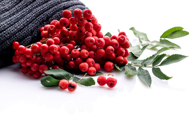 Autumn composition or template for greeting card. Rowan berries and a gray sweater on a white background