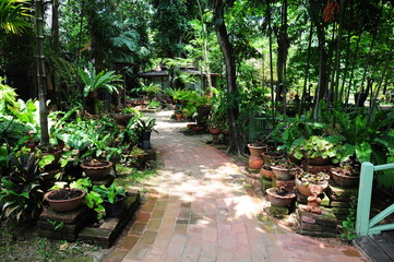 A path in the garden, Tropical garden