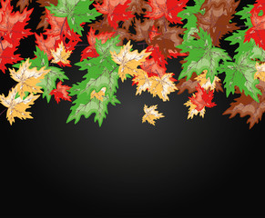 maple leafs autumn pattern background