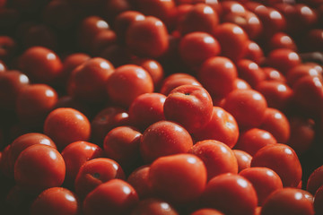 Fresh tomatos in sunday market