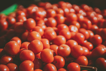 Fresh tomatos in sunday market