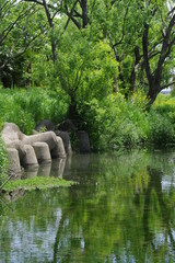 Fototapeta na wymiar 水辺の風景