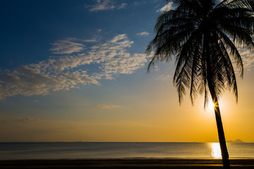 Siluate coconut tree on the beach