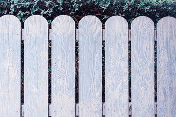 Fototapeta premium Wooden fence garden in white color with green grass background
