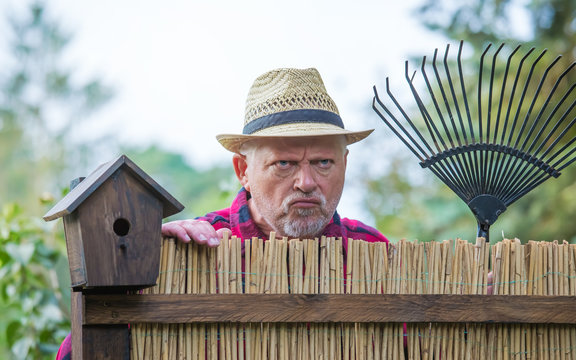 An elderly man with hat looks angry and watching over a garden fence. Concept problems with the neighborhood.