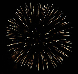 Festive firework on black background.