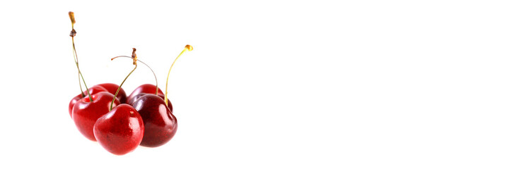 Fresh cherries on white background. Juicy summer berry close-up.Isolated. Banner.