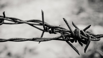 Barbed wire. Barbed wire on fence to feel worrying Concept