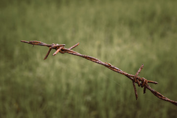 Barbed wire. Barbed wire on fence to feel worrying Concept