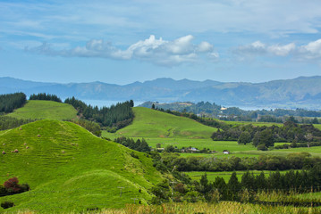 Beautiful agricultural farming country at Cape Farewell in Nelson New Zealand