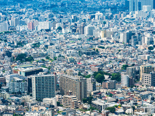 東京都庁から眺める都市風景