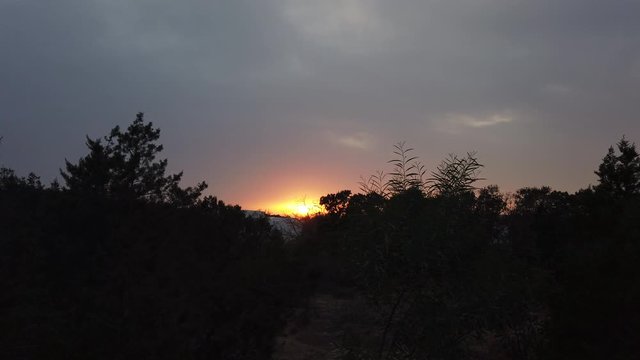 Sunset From the Maritime Pines