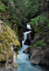 Fototapeta na wymiar Avalanche Gorge and Stream