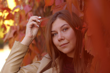Close-up portrait of a young girl in an autumn Park on a background of red leaves. A young woman walks in the Park in the autumn.