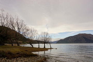 lake, landscape, water, sky, nature, tree, fog, mountain, cloud, mist, sunset, river, forest, clouds, sunrise, morning, reflection, view, blue, trees, sun, tranquil, autumn, scotland, mountains