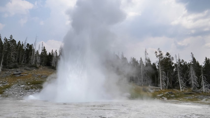 Fototapeta na wymiar a grand geyser eruption in yellowstone national park