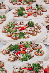 Selective focus of delicious appetizers. Tasty bruschetta with meat and parsley staying on table. Yummy delicatessen serviced on plate. Concept of food, menu and snacks.