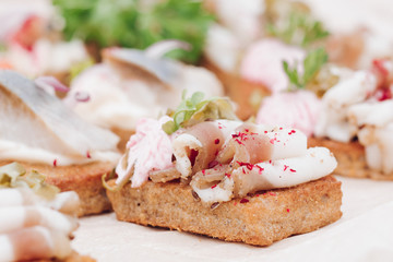 Appetizing sandwich with bacon decorating greenery serving on plate ready for eating close-up. Amazing beautiful food grilled bread with meat and fish preparing for event