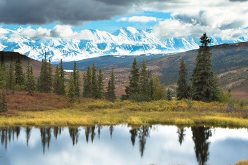 Denali reflection