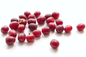 Cornus mas on a white background. Cornelian cherry or European cornel is a shrub with red fruits that is also often wild. He is also one of the medicinal plants.