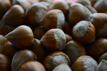 ripe collected hazelnuts on a table close up