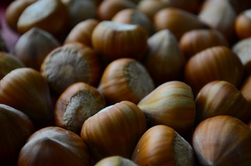 ripe collected hazelnuts on a table close up