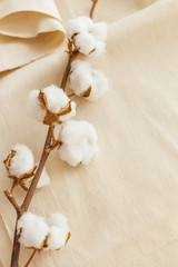 Cotton branch on cotton fabric