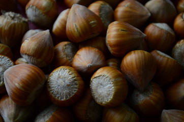 ripe collected hazelnuts on a table close up